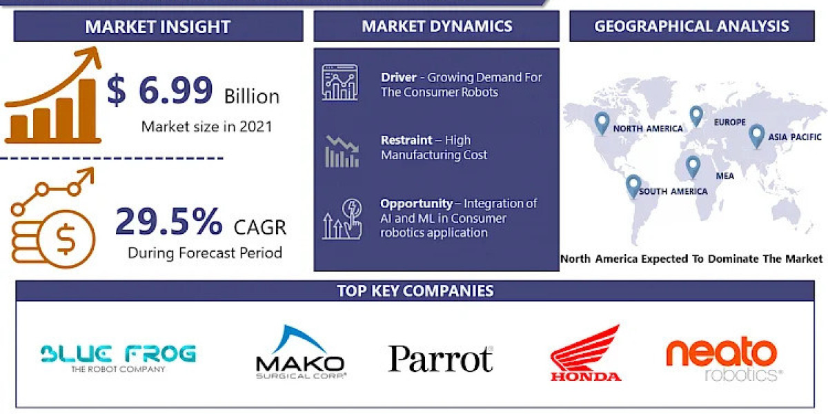 Consumer Robotics Market to Grow by 29.8% from 2023 to 2030|Says IMR