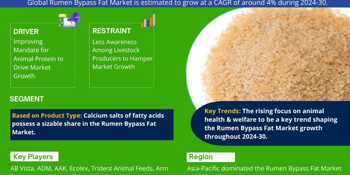 Rumen Bypass Fat Market Size, Share, Trends, Growth, Report and Forecast 2024-2030