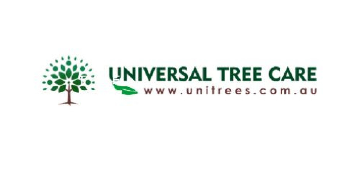 Local Tree Trimmers Your Neighborhood Tree Care Experts