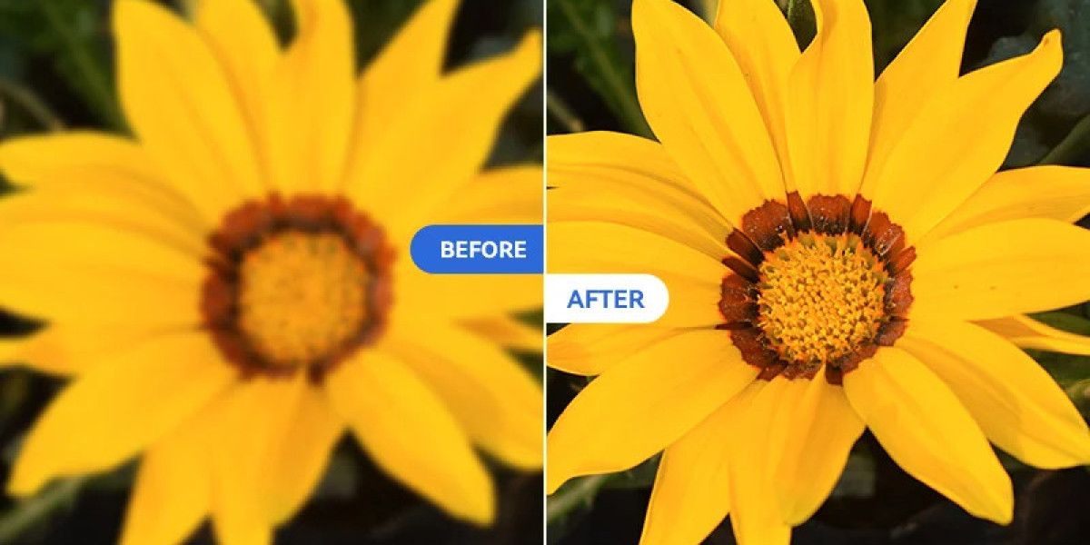  How AI Can Effortlessly Remove Blur from Images: A Comprehensive Guide