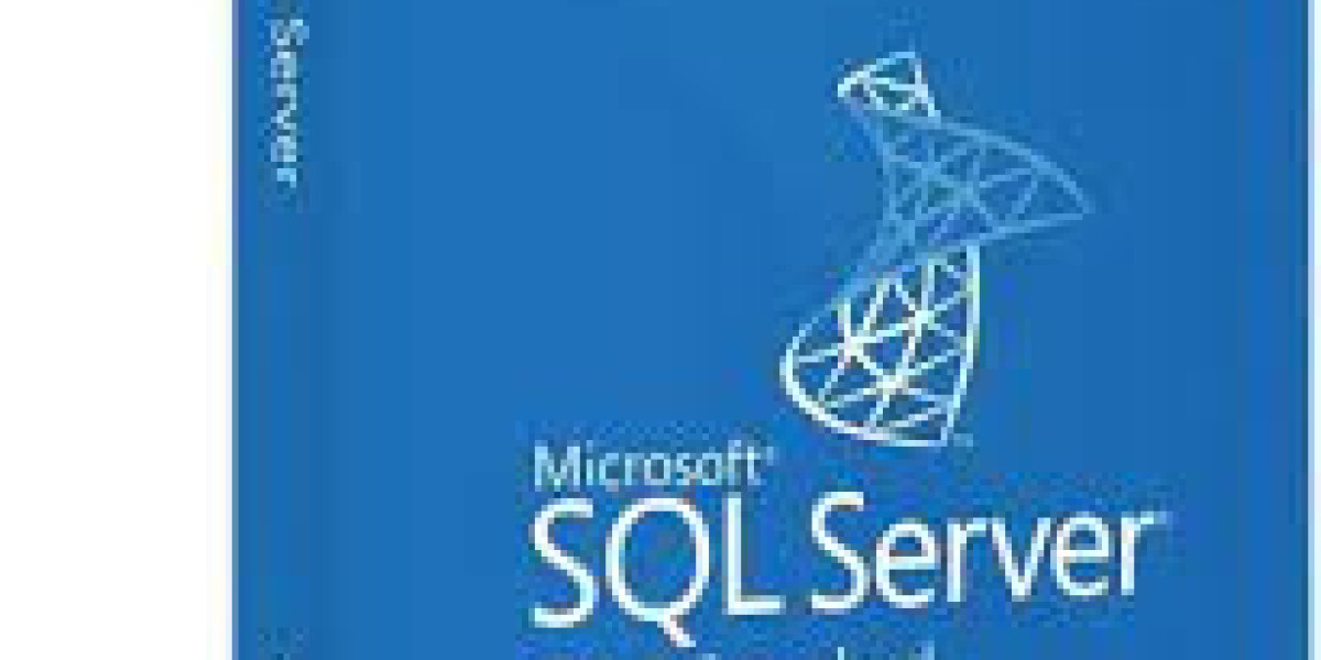 Uncovering Sql Server Standard's Potential: a Handbook for Contemporary Companies