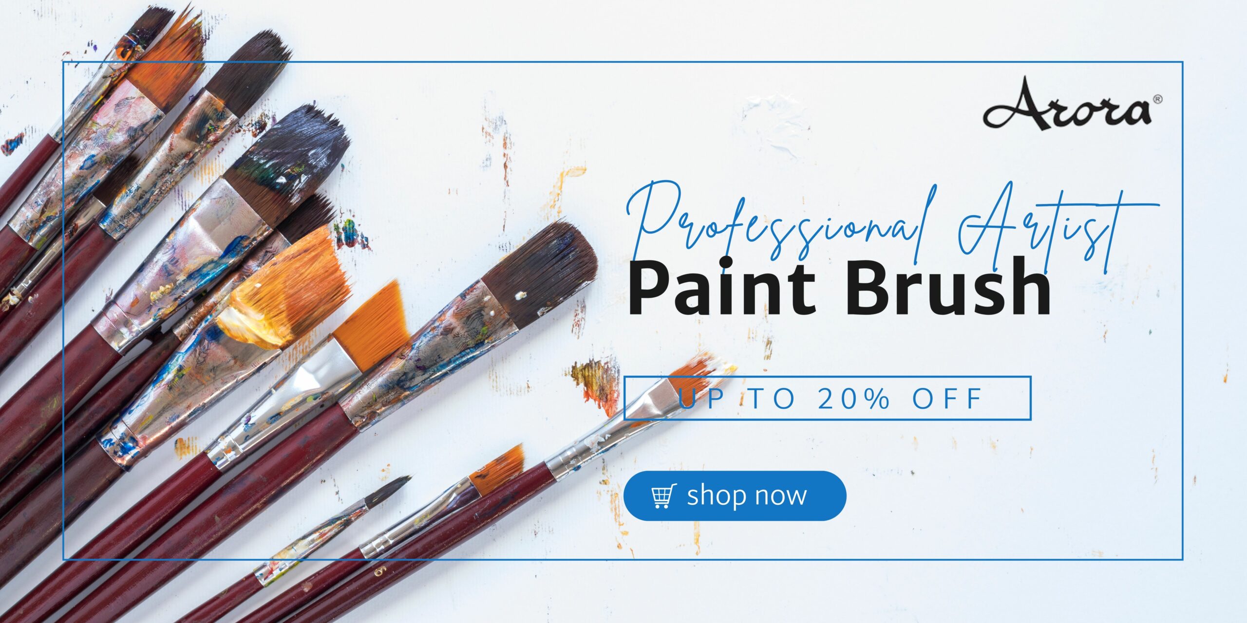 Professional Artist Paint Brush Set - Vita