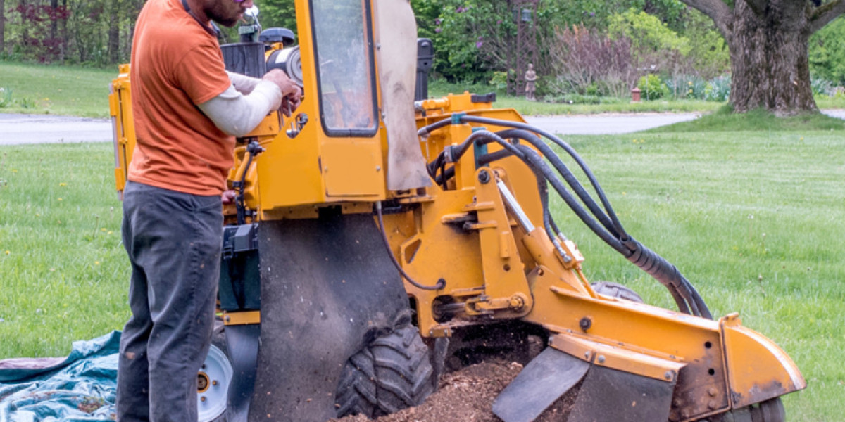 Secrets of Stump Grinding: Everything You Need to Know
