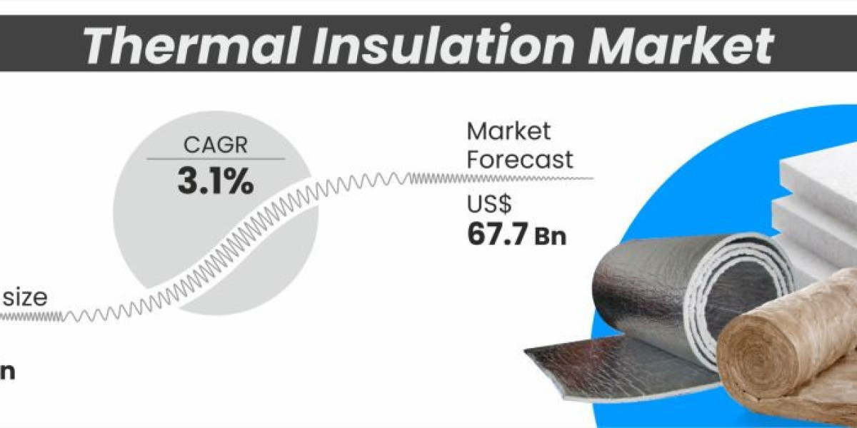 "Thermal Insulation Market Insights: Trends, Forecasts, and Strategic Growth Avenues"
