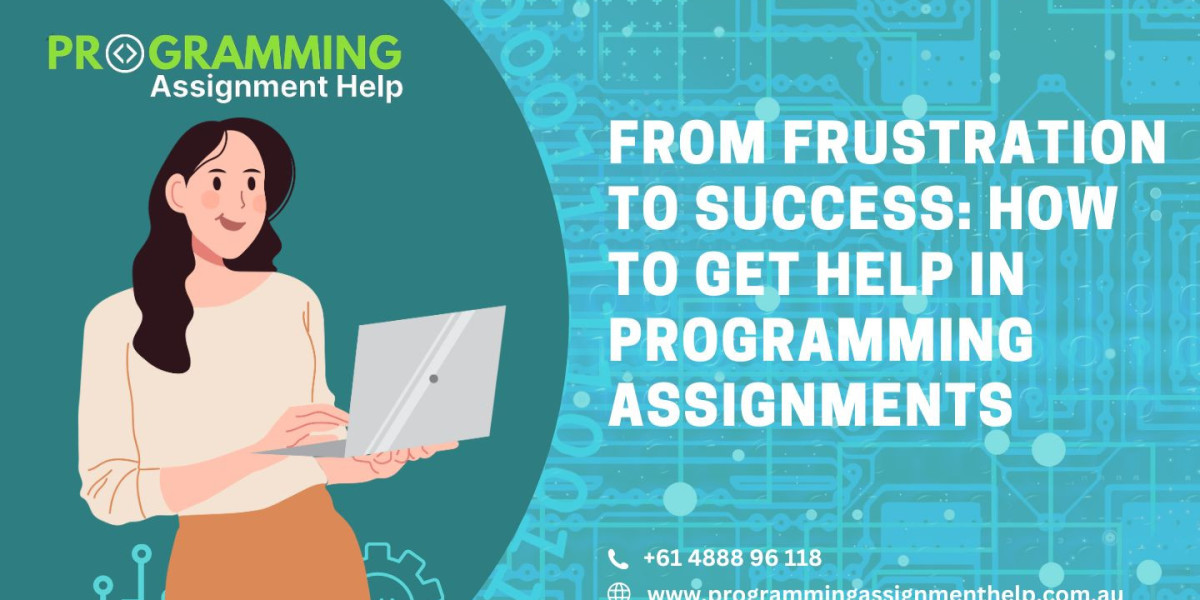 From Frustration to Success: How to Get Help in Programming Assignments