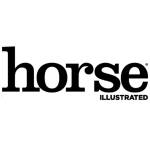 Horse Illustrated