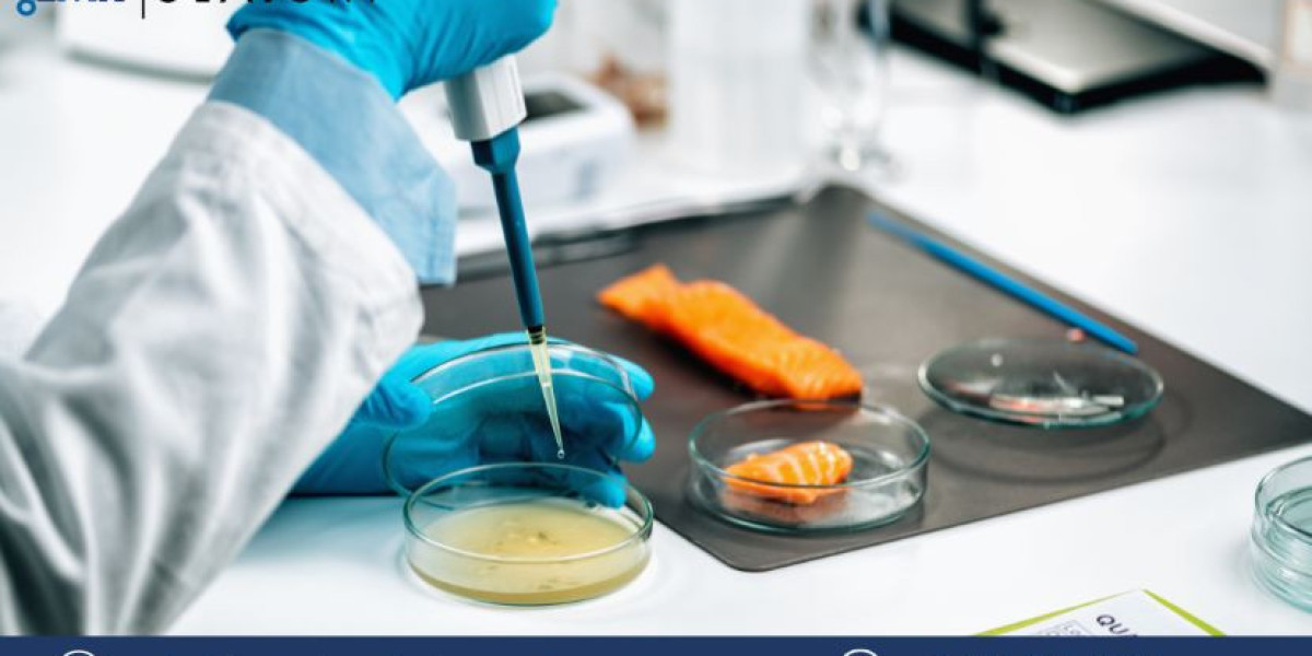 India Food Pathogen Testing Market Size, Share, Trends, Growth, Report 2024-2032