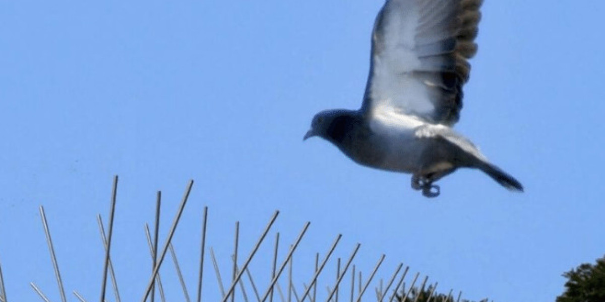 Trustworthy Bird Control: Spikes Installation Services in Dubai