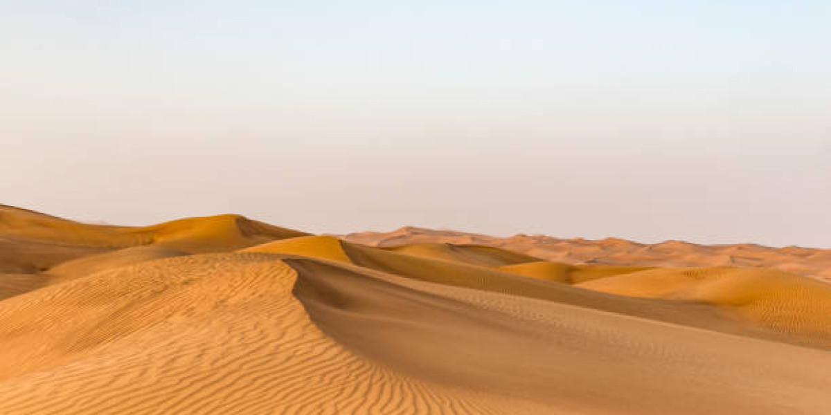 Discovering the Wonders of Qatar Desert with Murex Qatar Tours