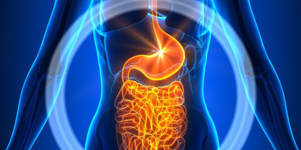 Gastroenterology Market Size, Share, Trends, Growth, Analysis, Report and Forecast 2024-2032