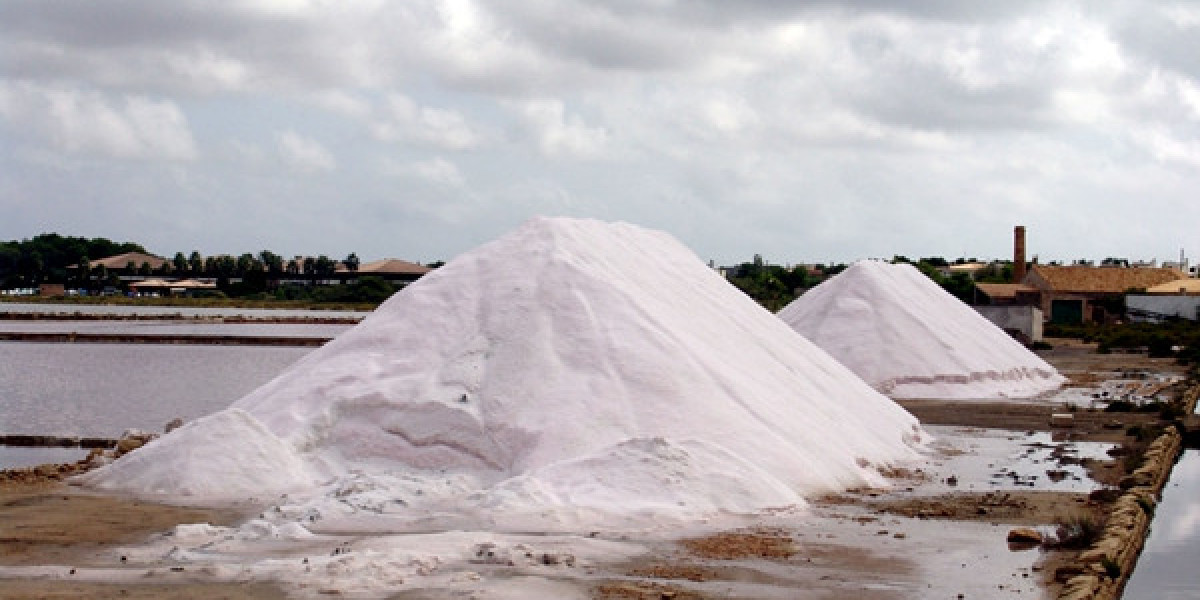 Unveiling the Essence of Salt in Brine: Navigating the Dynamics of the Salt Market