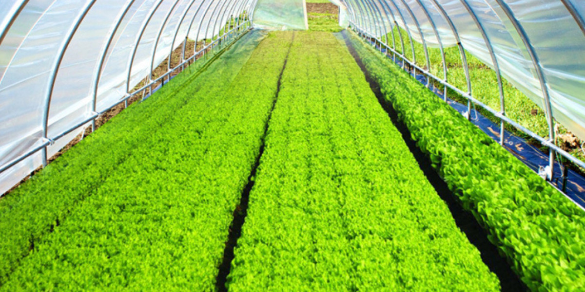 Unveiling the Benefits of Greenhouse Films: A Comprehensive Guide