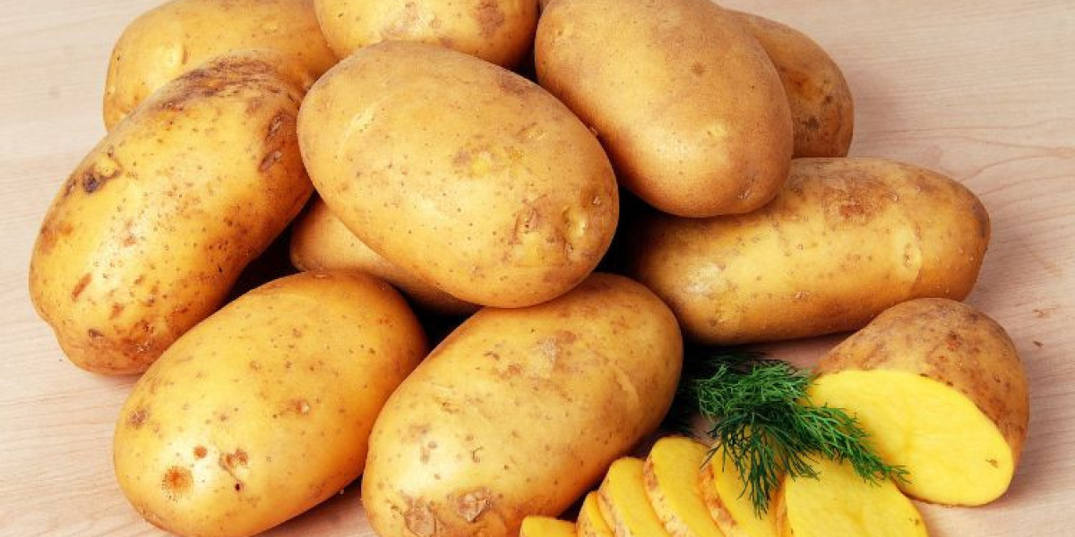 Global Potato Fibre Market Share, Industry Report 2032