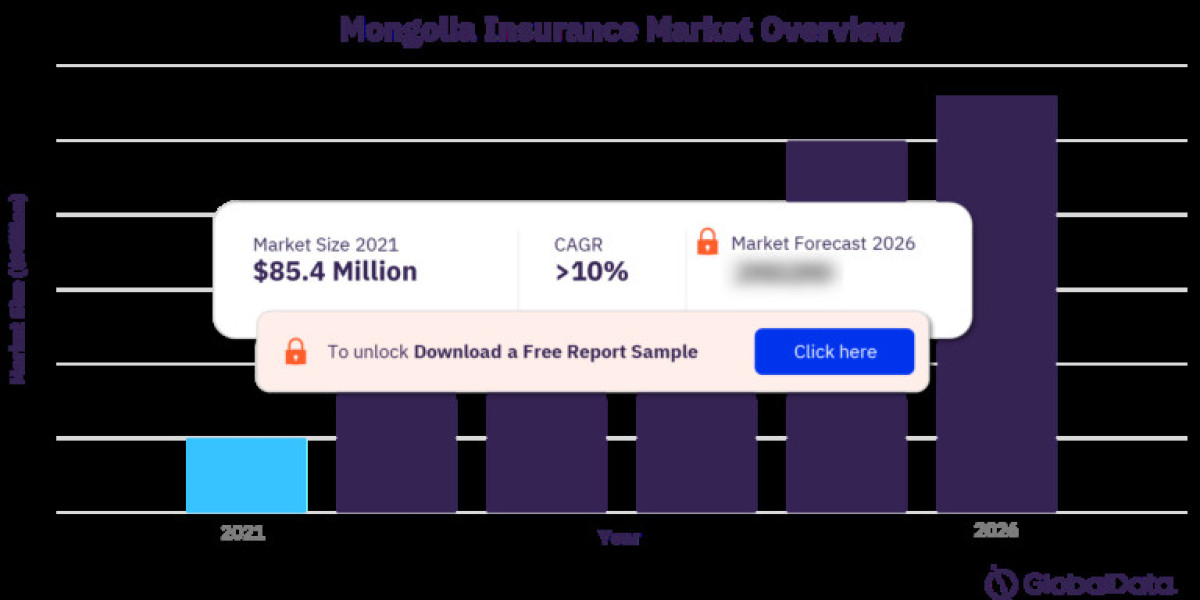 Key Players in the Mongolian Insurance Market: A Comparative Analysis