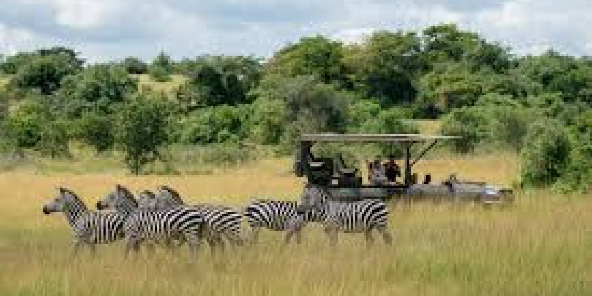 Unforgettable Tanzania Family Safari Adventure