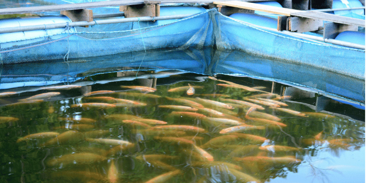 Fish Farming Market Size, Share, Trends and Forecast 2024-2032