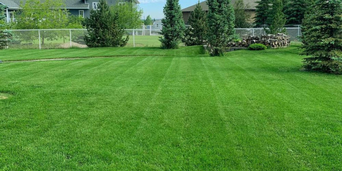 Humic Acid for Lawns: Enhancing Nutrient Uptake and Soil Quality