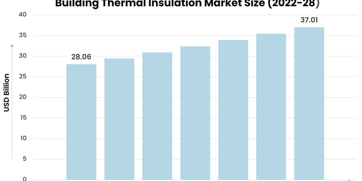 Keeping it Cool: Trends and Insights in the Building Thermal Insulation Market