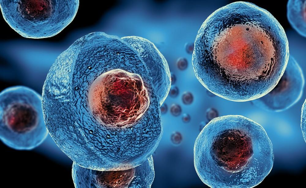 Different Treatments Performed Using Stem Cells | TechPlanet