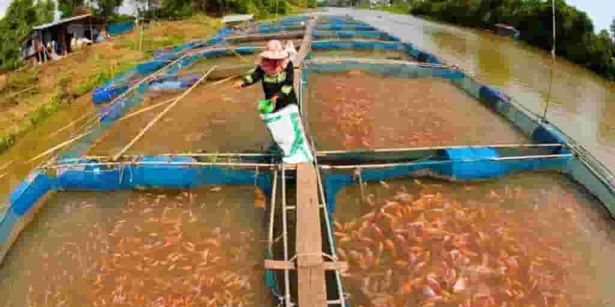 Fish Farming Manufacturing Plant Project Report - Comprehensive Business Plan, Manufacturing Process, and Raw Materials 