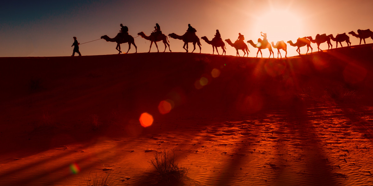 Discover Unforgettable Adventures with Desert Rose Tourism - Your Premier Tourism Company Abu Dhabi