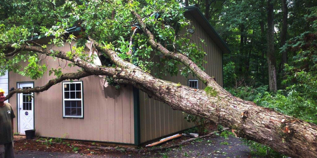 Benefits of Hiring Professional Emergency Tree Services in GA
