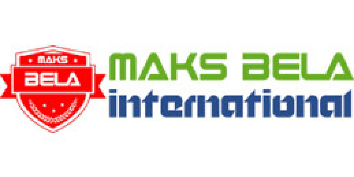 Professional English language course - Maks Bela