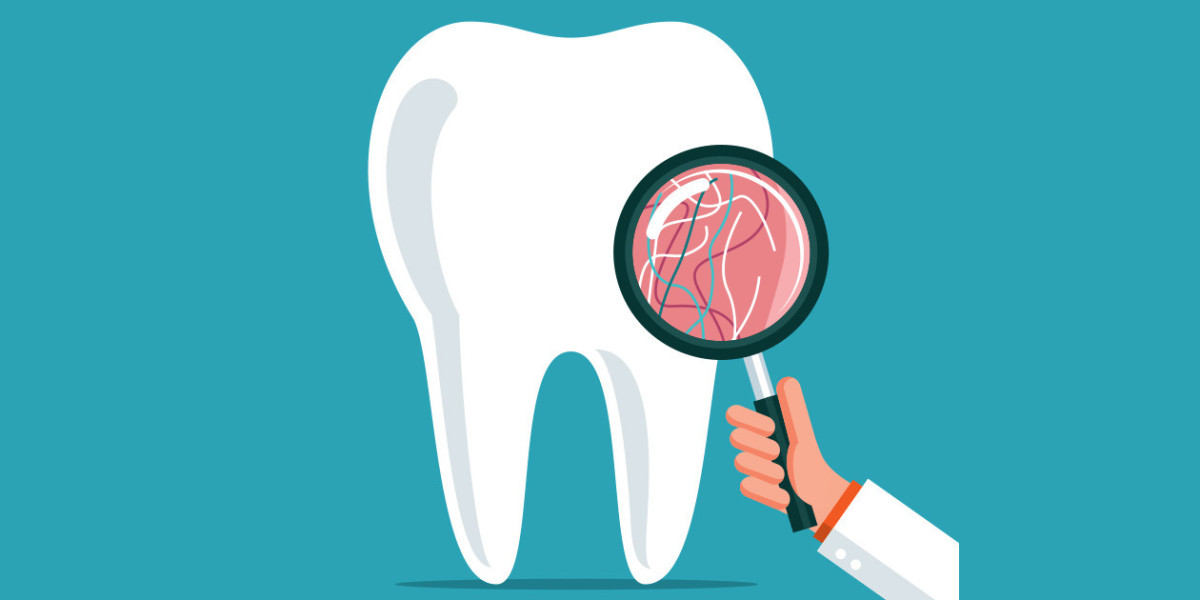 Dental Insurance Market Size, Growth Strategies, Trends, Analysis and Forecast 2024-2032