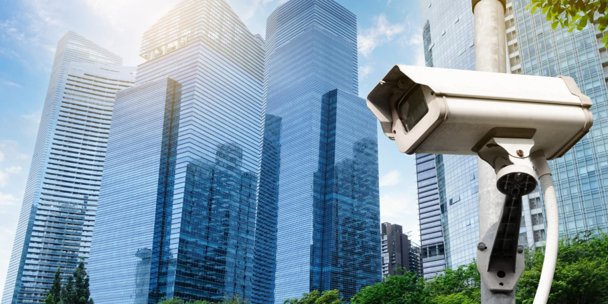 Advanced Surveillance Systems: The Role of Embedded Vision in Smart Cities