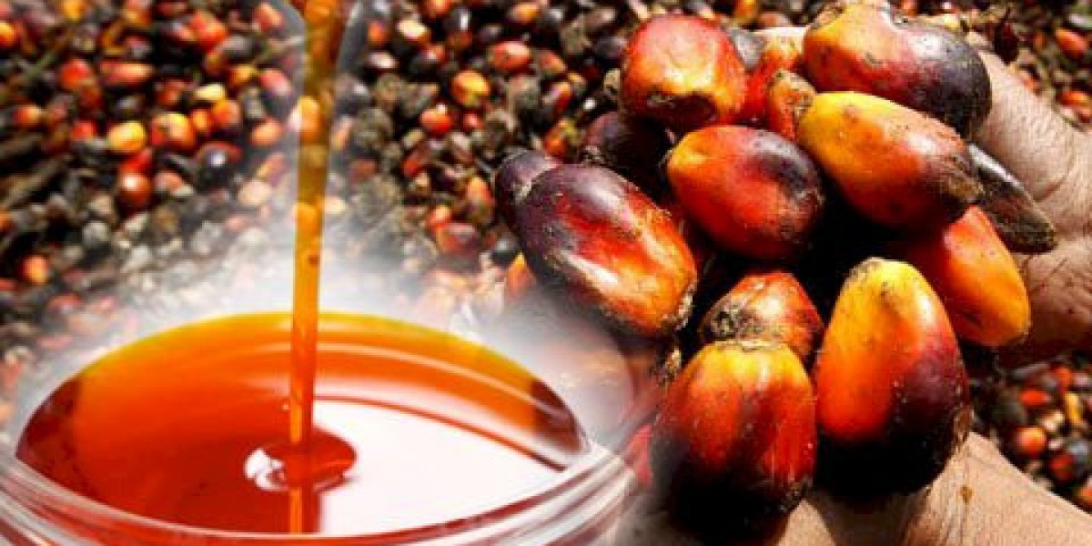 Palm Oil Manufacturing Plant Project Report 2024: Raw Materials Requirement, Setup Cost and Revenue