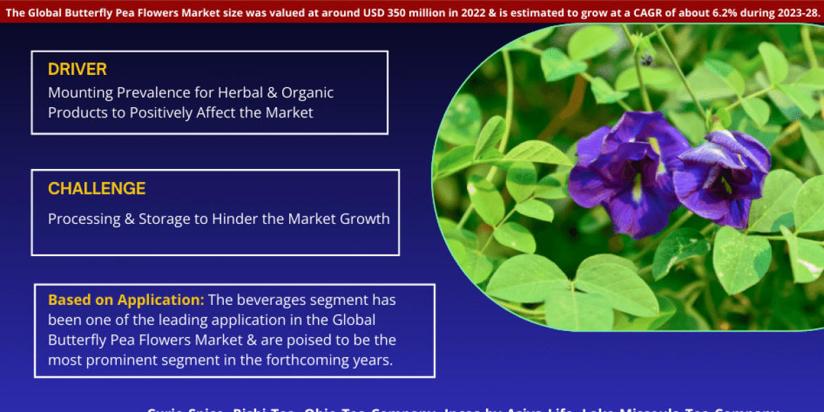 Butterfly Pea Flowers Market Investment Opportunities