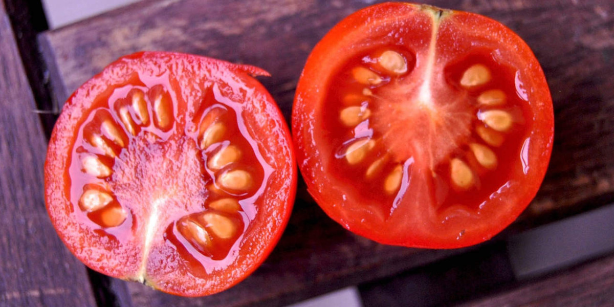 Tomato Seed Market Share, Potential, Growth, Demand, and Report 2024-2032