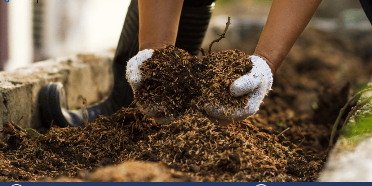 Soil Treatment Market Size, Industry Growth & Trends - 2032