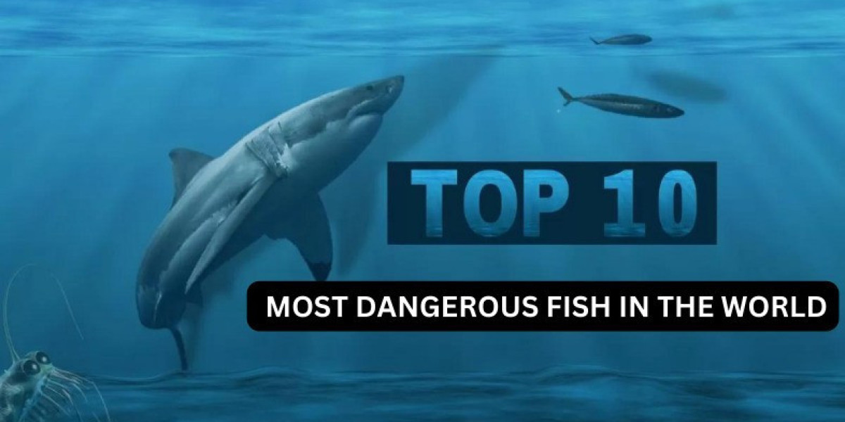 Most Dangerous Fish In The World