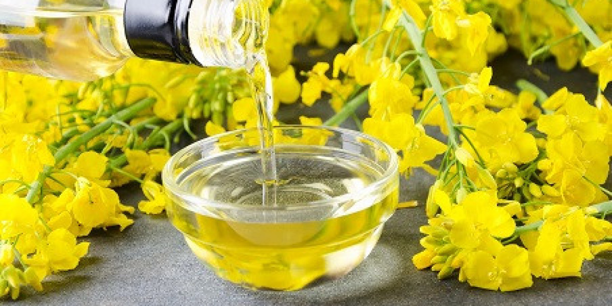 Canola Oil Manufacturing Plant Project Report 2024: Machinery, Cost, and Raw Materials Requirement