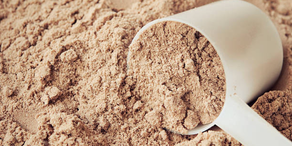 Europe Whey Market To Register Substantial Expansion By 2032