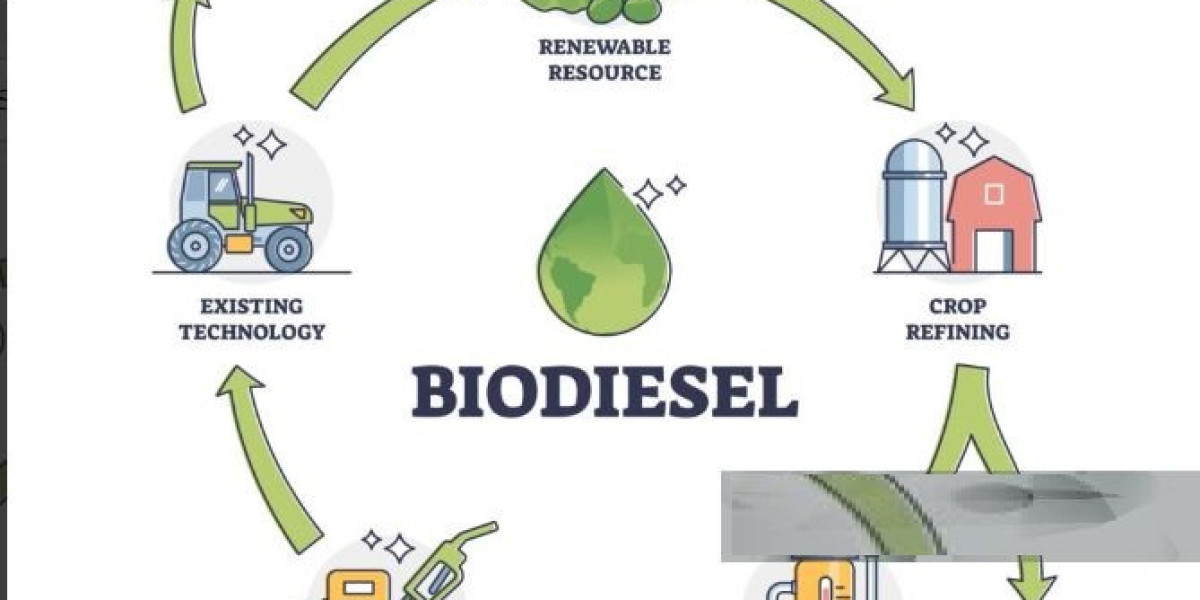 Biodiesel Market Global Market Size Guide 2031 Forecast | Ag Processing, Chevron, Neste