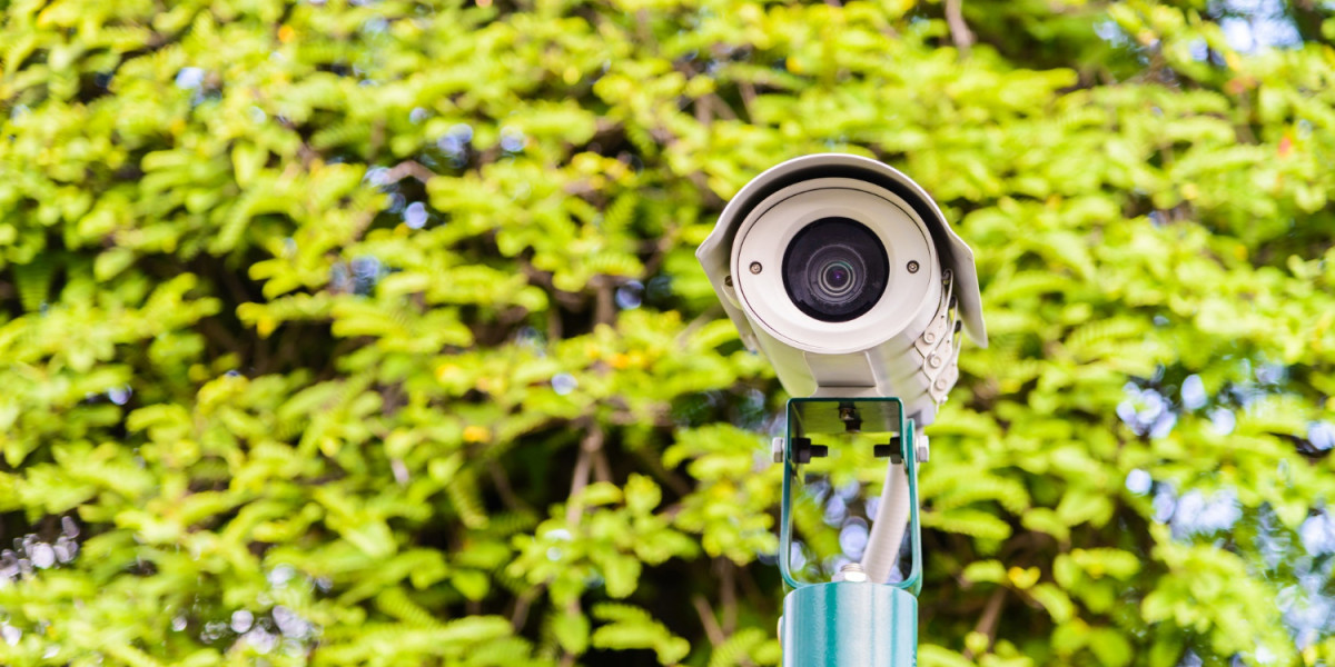 Environmental Monitoring Enhanced: Deploying 4K Cameras for Clear Insights