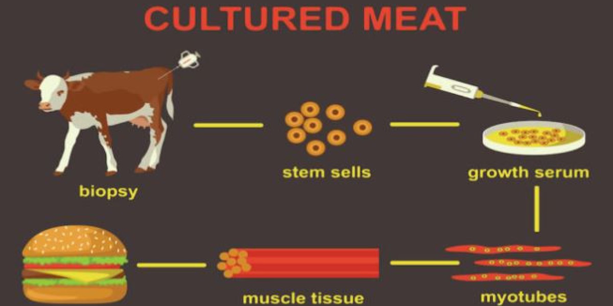Navigating the Future: Cultured Meat Market Size Set to Hit USD 811.4 Million 2031 Forecast