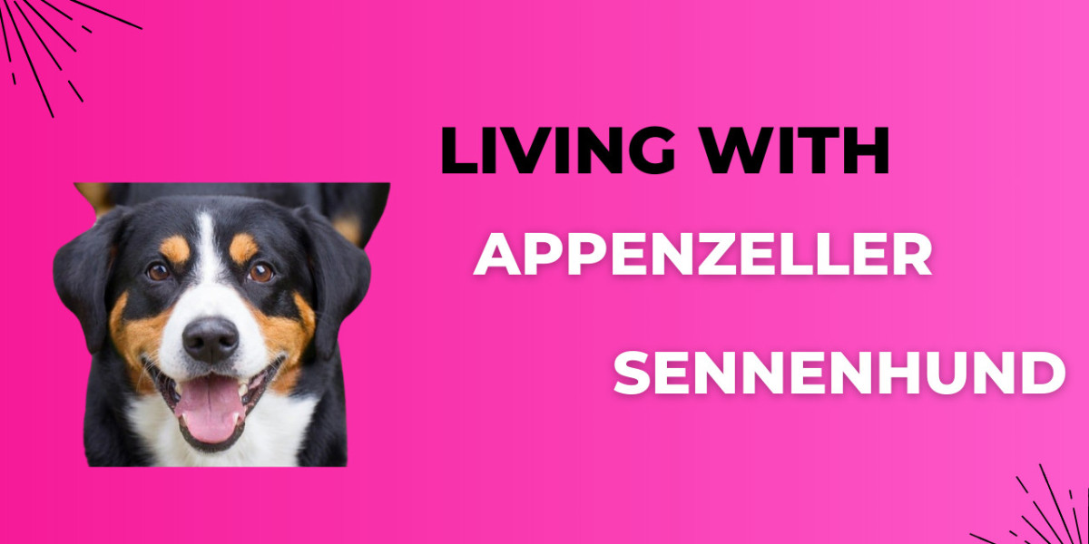 Living with an Appenzeller Sennenhund: What You Need to Know