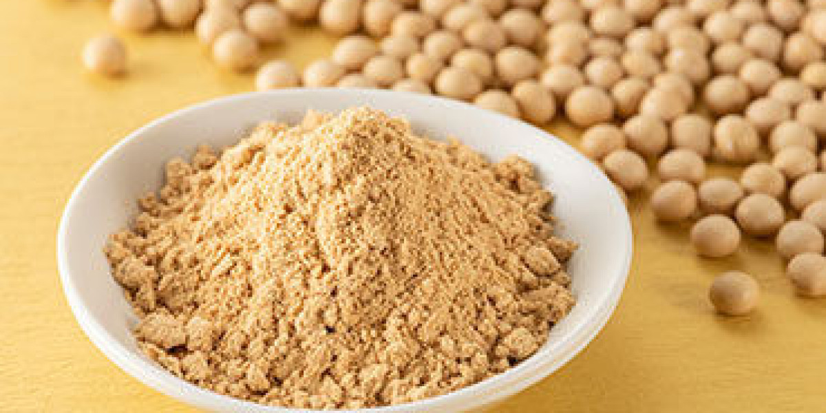De-Oiled Lecithin Market Segmentation, Analysis, Trends, Growth, and Forecast 2024-2032