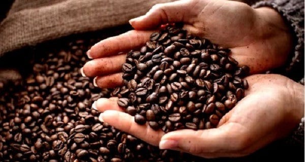 A Brief Guide to Buying Coffee Beans Online
