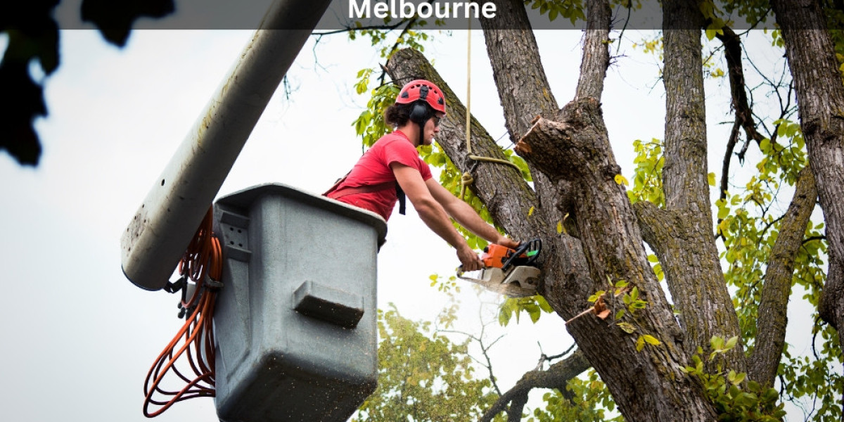 Sustainable Tree Care: The Future of Tree Services Melbourne