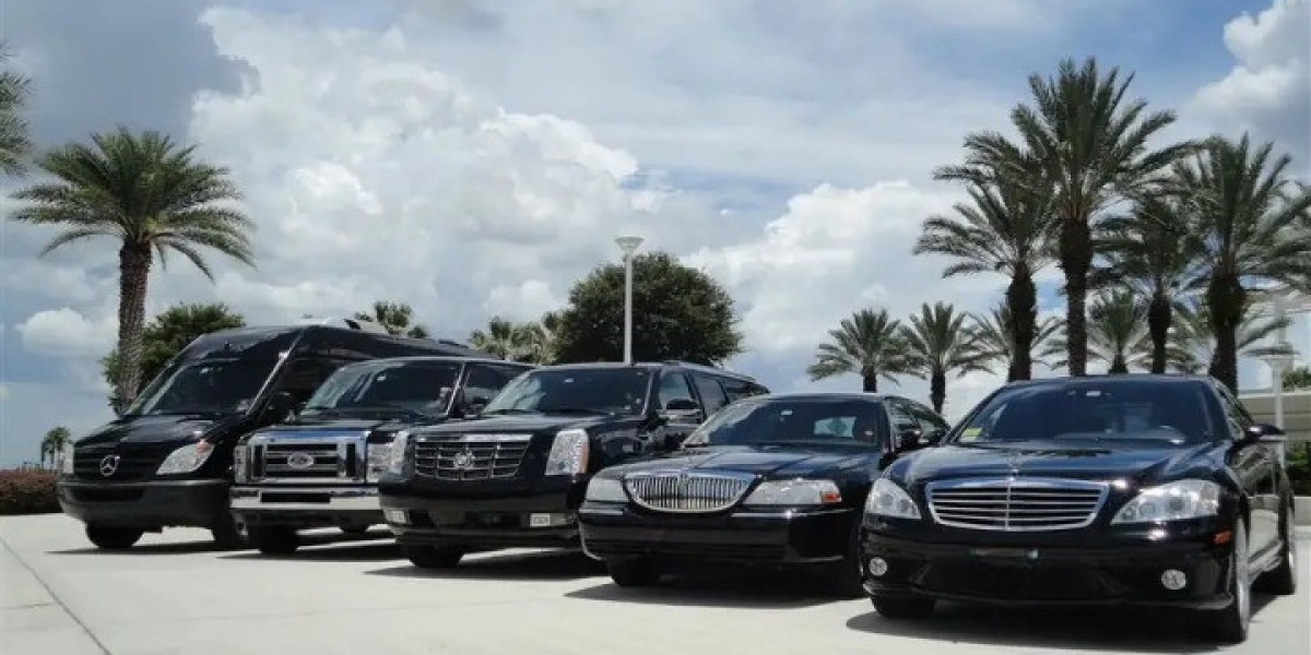 Carefree Limo Service Insights: What to Look for in a Reliable Provider