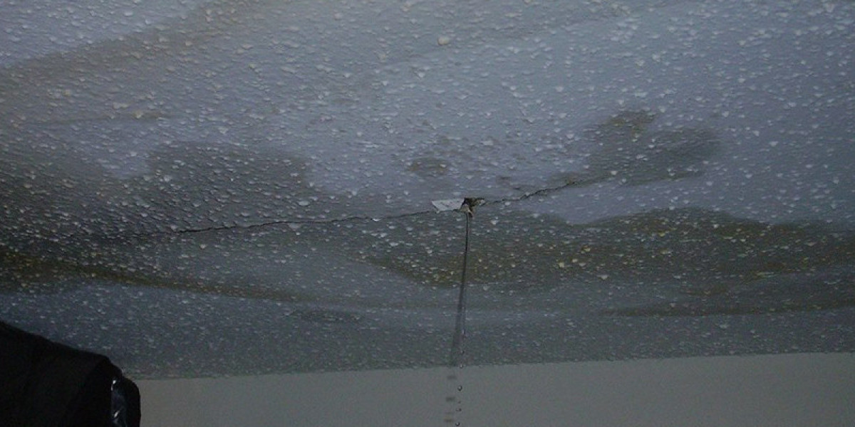 Water Leaking From Your Ceiling When It Rains: What to Do