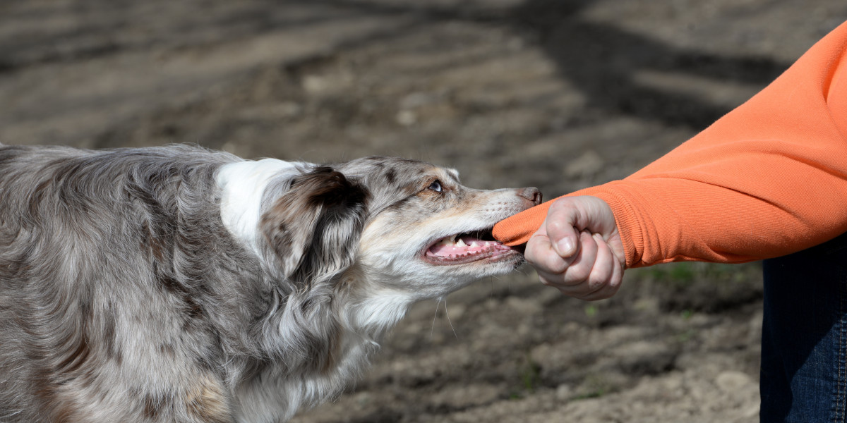 Proven Strategies for Personal Injury Attorneys in Optimizing Recovery for Dog Bite Victims