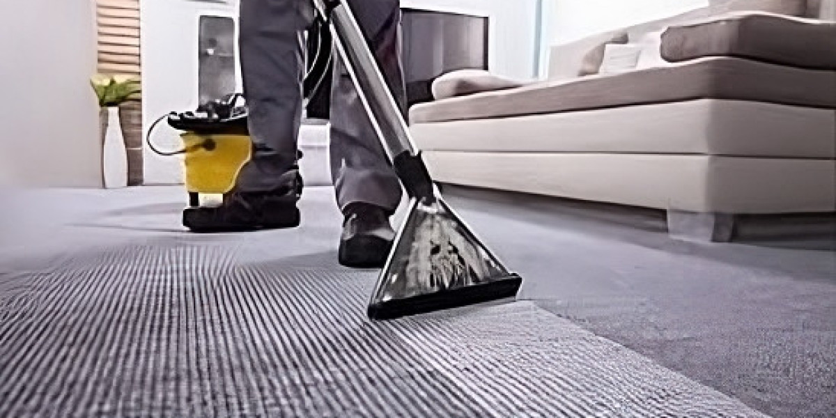 Fresh Floors, Happy Homes: Best Carpet Cleaning Options