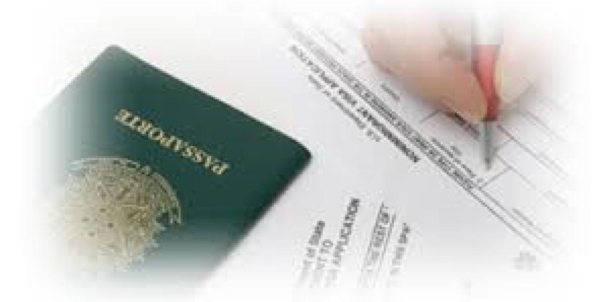 Comprehensive Immigration Solutions in Gurgaon