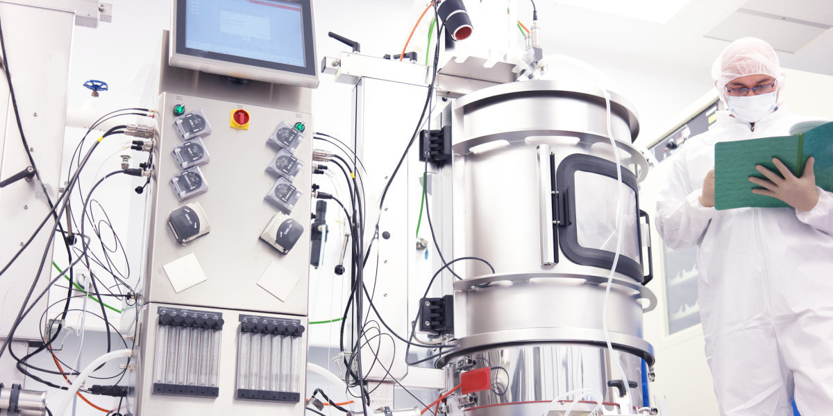 What is the Bioprocess Validation Market Growth?