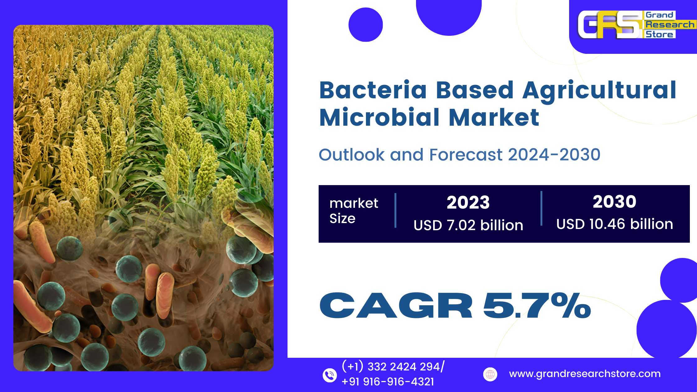 Bacteria Based Agricultural Microbial Market, Glob..